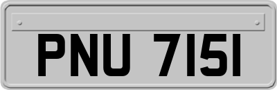 PNU7151