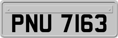 PNU7163