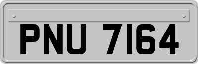 PNU7164