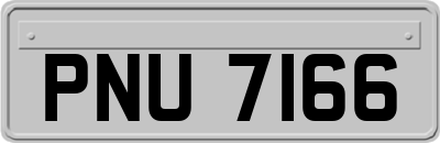 PNU7166
