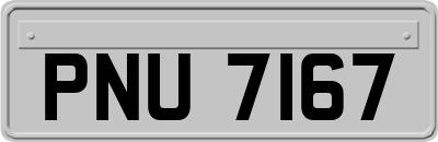 PNU7167