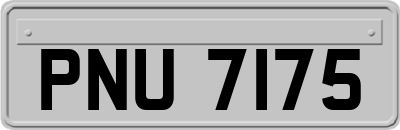 PNU7175