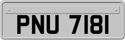 PNU7181