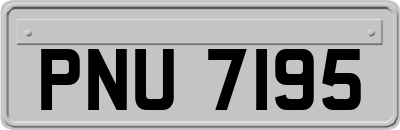 PNU7195