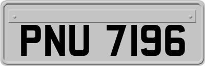 PNU7196