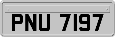PNU7197