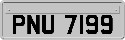 PNU7199