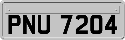 PNU7204