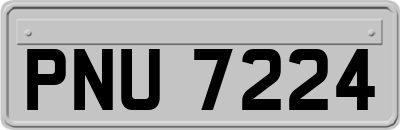 PNU7224