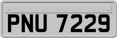 PNU7229