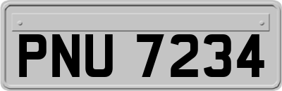 PNU7234