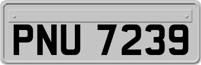 PNU7239