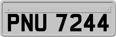 PNU7244