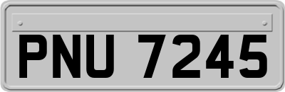 PNU7245
