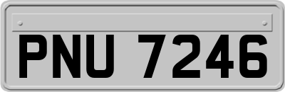 PNU7246
