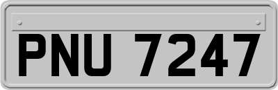 PNU7247