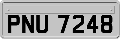 PNU7248