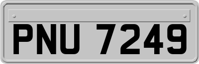 PNU7249