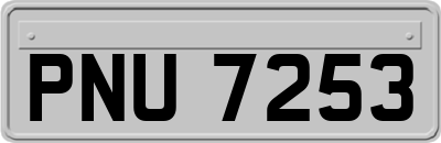 PNU7253