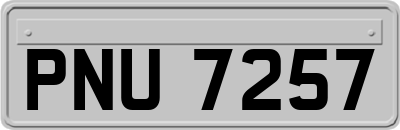 PNU7257