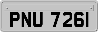 PNU7261