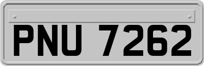 PNU7262