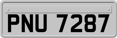 PNU7287
