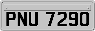 PNU7290