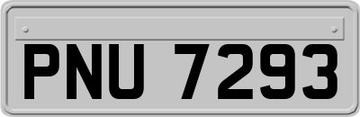 PNU7293