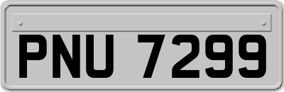 PNU7299