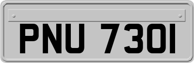 PNU7301