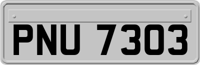PNU7303