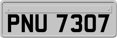 PNU7307