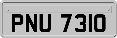 PNU7310