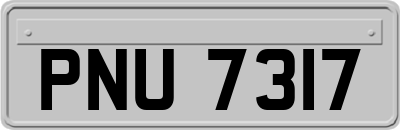 PNU7317