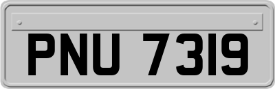 PNU7319