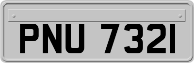 PNU7321