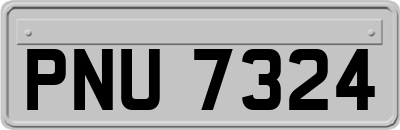 PNU7324