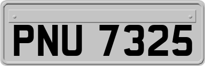 PNU7325
