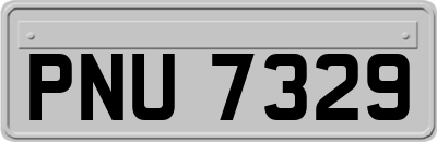 PNU7329