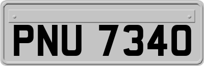 PNU7340