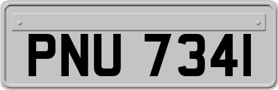 PNU7341