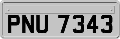 PNU7343