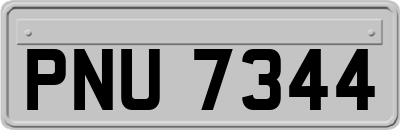 PNU7344