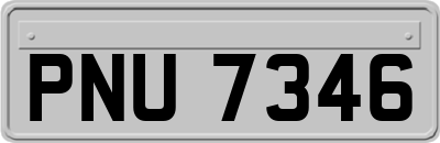PNU7346