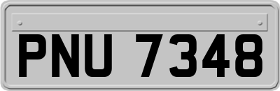 PNU7348