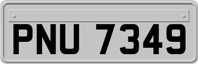 PNU7349