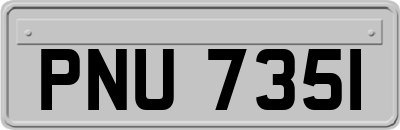 PNU7351