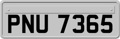 PNU7365