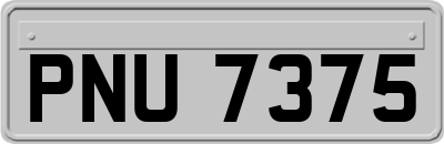 PNU7375